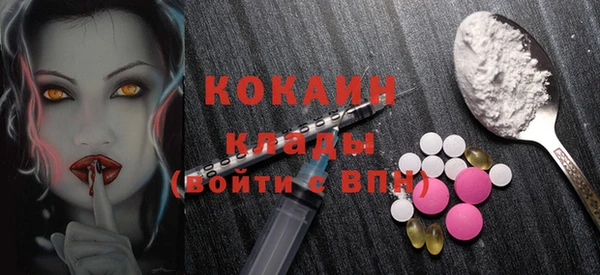 таблы Новозыбков