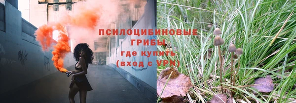 метадон Аркадак