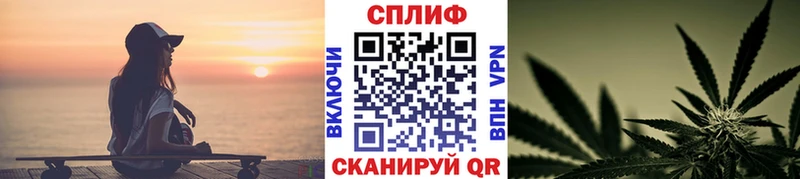 Бошки марихуана семена  наркошоп  Райчихинск 